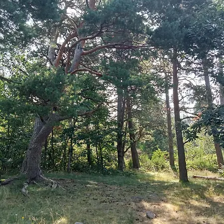 Charmante Maison Pres De La Foret De Chataigniers بيت للعطل *