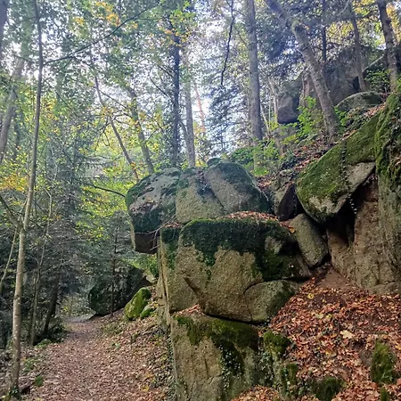 Charmante Maison Pres De La Foret De Chataigniers *
